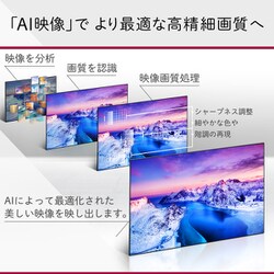 ヨドバシ.com - LGエレクトロニクス OLED48A1PJA [OLED A1シリーズ 48V
