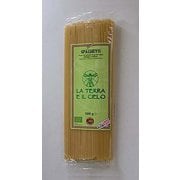 スパゲティ 500g
