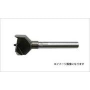 #13A-250 丁番錐A（先ネジ） 25