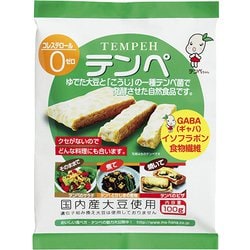 テンペ レトルト 100g