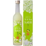 ウフフの乳酸菌 ゆず 8度 500ml [リキュール]