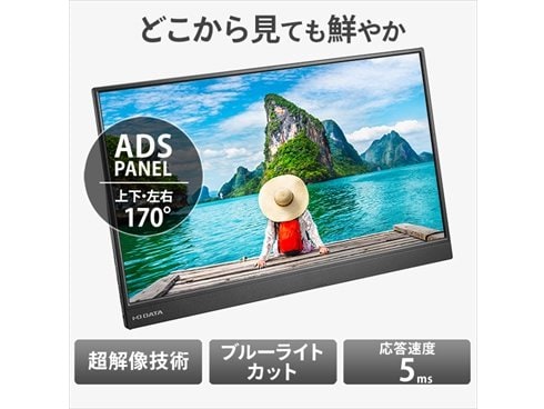 商品名：IODATA モバイルモニター