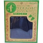 ワイズフィット！インソール