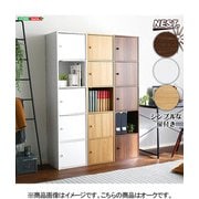 マルチカラーボックス5D【NEST.】5ドアタイプ ET-T5D-OAK