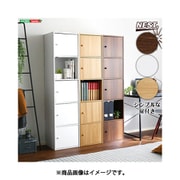 マルチカラーボックス5D【NEST.】5ドアタイプ ET-T5D-DBR