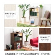 DS60-F1-WAL [収納家具【DEALS-ディールズ-】 フラップ扉1枚タイプ]