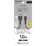 USB-A to Lightningケーブル 1m ブラック TSC281L10K