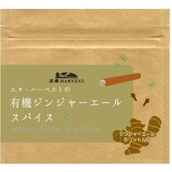 有機ジンジャエールスパイス 20g