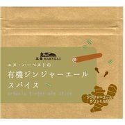 有機ジンジャエールスパイス 20g