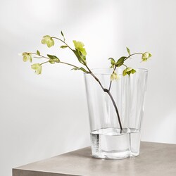 ヨドバシ.com - iittala イッタラ アアルト ベース 220mm クリア