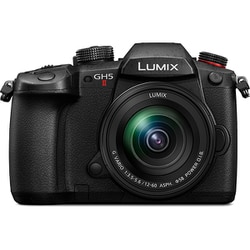 ヨドバシ.com - パナソニック Panasonic DC-GH5M2M [LUMIX GH5M2