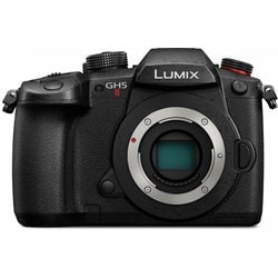 ヨドバシ.com - パナソニック Panasonic LUMIX GH5M2 レンズキット DC-GH5M2M [ボディ フォーサーズセンサー  ミラーレスカメラ＋LUMIX G VARIO 12-60mm/F3.5-5.6 ASPH./POWER O.I.S.] 通販【全品無料配達】