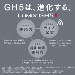 ヨドバシ.com - パナソニック Panasonic DC-GH5M2M [LUMIX GH5M2