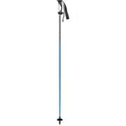 ザ･フリート 202314 ブルー BLE 113cm 2本セット [スキー ストック]