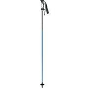 ザ･フリート 202316 ブルー BLE 117cm 2本セット [スキー ストック]