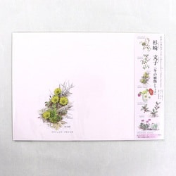 ブックカバー 冬の植物シリーズ No.805