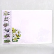 ブックカバー 春の植物シリーズ No.902