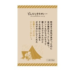 どんなときもカレージンジャー 180g