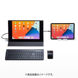 サンワサプライ DP-02 モバイルディスプレイ本体 DP-02【モバイルモニター(15.6インチ・フルHD・IPS光沢液晶・USB