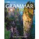 Grammar Explorer 3 Student Book Split Edition 3A [洋書ELT]
