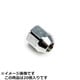 Through Nut Long P1.25 ナット 貫通タイプ ロング P1.25/20個 P5623012