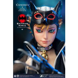 即購入禁止！figma　キャットウーマン 即購入禁止！figma キャットウーマン