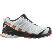 XA PRO 3D v8 GORE-TEX W L41564100 PLEIN AIR/MARMALADE/NIGHT SKY 24.5cm [ハイキングシューズ レディース]