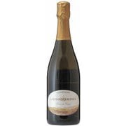 テール・ド・ヴェルテュ ノン・ドゼ プルミエ・クリュ 12度 750ml [シャンパン]