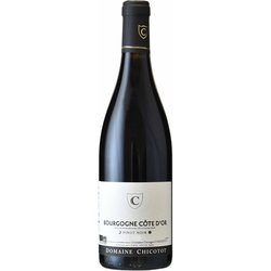 ブルゴーニュ コート・ドール ルージュ 13度 750ml [赤ワイン]