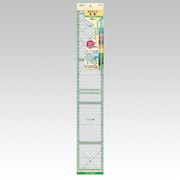57-929 [ストリップ定規 カラーライン 50cm]