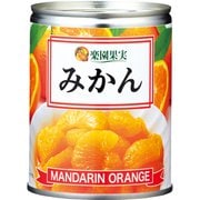 楽園果実 みかん 缶 350g