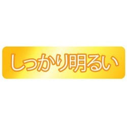 ヨドバシ.   東芝   [シーリング 畳 調光