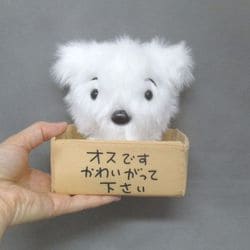 ヨドバシ.com - 三英貿易 クレヨンしんちゃん ぬいぐるみ