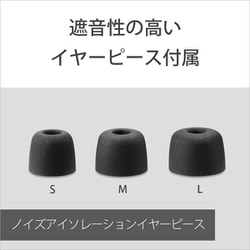 ヨドバシ.com - ソニー SONY 完全ワイヤレスイヤホン Bluetooth/ノイズ