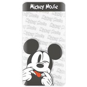 USB/USB Type-C リチウム充電器 2.1A 4000mAh ディズニーキャラクター ミッキーマウス DN-858A