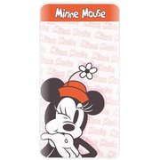 USB/USB Type-C リチウム充電器 2.1A 4000mAh ディズニーキャラクター ミニーマウス DN-858B