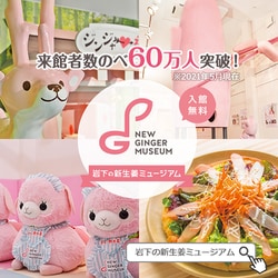 新物　新生姜　安いよ　66 newginger_4kg.jpg?fitin=720:720