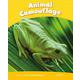 Pearson Kids Readers Level 6 Animal Camouflage [洋書ELT]