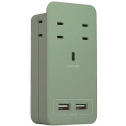 SATI COLOR 電源タップ AC4個口 4.2A USB2ポート ライトグリーン CT221LG