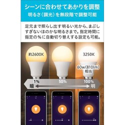 ヨドバシ.com - プラススタイル +Style スマートLED電球E26（調