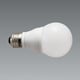 LAMP E26 100W相当 RAD902N