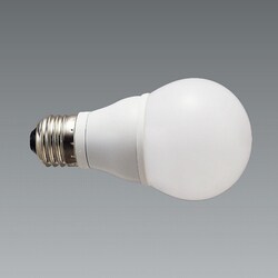 LAMP E26 100W相当 RAD902N