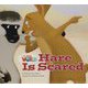 Our World - Reader Book 2 Hare is Scared [洋書ELT]