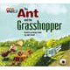 Our World - Reader Book 2 The Ant and the Grasshopper [洋書ELT]