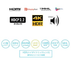 ヨドバシ.com - JAPANNEXT ジャパンネクスト JN-IPS4302UHDR [43インチ 