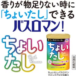 ヨドバシ Com アース製薬 バスロマン ちょいたしバスロマン マジックアロマの香り 入浴剤 通販 全品無料配達