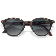 VACANZA SUNVA-TFO TORTOISE F [スポーツサングラス]