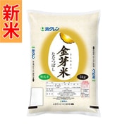 無洗米 北海道産 金芽米 ななつぼし 5kg 令和7年産