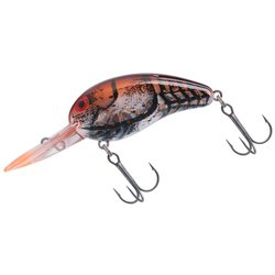 086137 [ワイルドピーナッツ ファントムブラウンC]