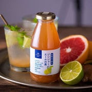 sco0146 [炭酸水で割る ジンジャーエールの素（ドリンクベース） 290ml]
